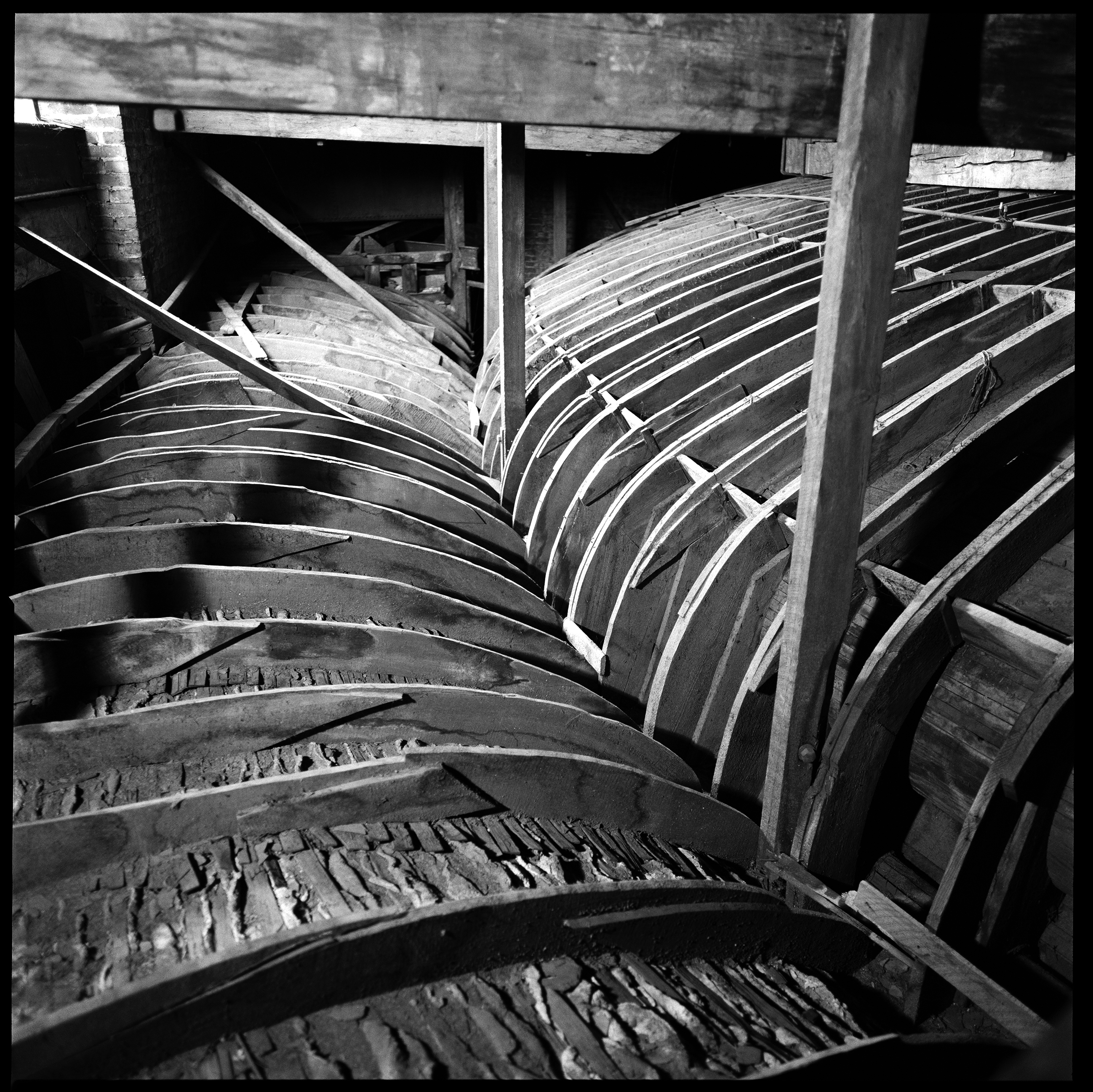 08,Picture 036 - Photographie de Forêts dévastées par André Soupart
